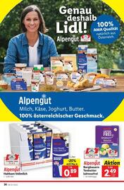 Lidl Flugblatt woche 19 Seite 41