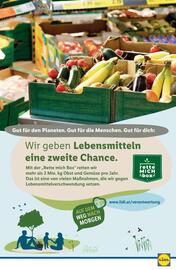 Lidl Flugblatt woche 19 Seite 47