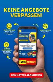 Lidl Flugblatt woche 19 Seite 48