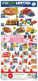 Homeland Market Weekly Ad week 18 Page 1