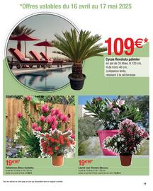 Catalogue Cora x Carrefour | Piscine et spa page 19