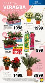 Lidl akciós újság hét 19 Oldal 19