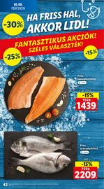 Lidl akciós újság hét 19 Oldal 42