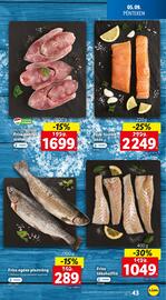 Lidl akciós újság hét 19 Oldal 43