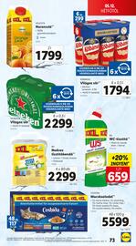 Lidl akciós újság hét 19 Oldal 73