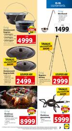 Lidl akciós újság hét 19 Oldal 7