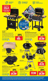 Lidl Prospekt woche 19 Seite 43
