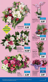 Lidl Prospekt woche 19 Seite 5