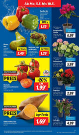 Lidl Prospekt woche 19 Seite 7