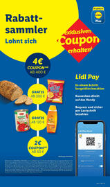 Lidl Prospekt woche 19 Seite 9