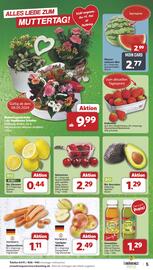Famila Nord West Prospekt woche 19 Seite 5