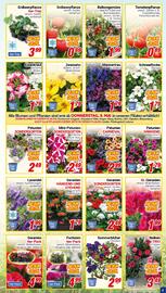 CENTERSHOP Prospekt woche 19 Seite 3