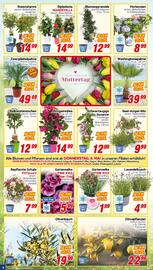 CENTERSHOP Prospekt woche 19 Seite 4