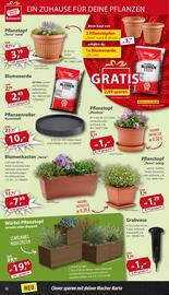 Sonderpreis Baumarkt Prospekt woche 19 Seite 12