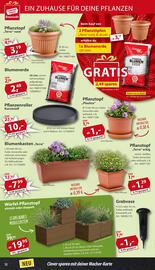 Sonderpreis Baumarkt Prospekt woche 19 Seite 12