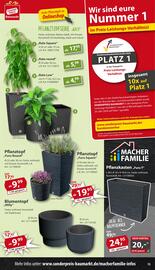 Sonderpreis Baumarkt Prospekt woche 19 Seite 13