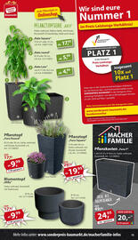 Sonderpreis Baumarkt Prospekt woche 19 Seite 13