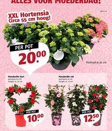 Poiesz folder week 19 Pagina 15