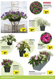 Hagebau Prospekt woche 18 Seite 4
