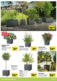 Hagebau Prospekt woche 18 Seite 6