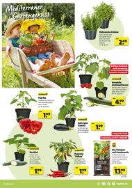 Hagebau Prospekt woche 18 Seite 7