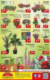 Zimmermann Prospekt woche 19 Seite 10