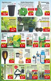 Zimmermann Prospekt woche 19 Seite 8
