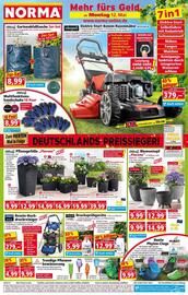 Norma Prospekt woche 20 Seite 1