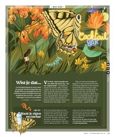 AS Adventure folder Pagina 121