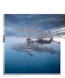 AS Adventure folder Pagina 54