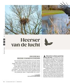 AS Adventure folder Pagina 98