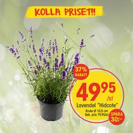 EKO reklamblad vecka 18 Sida 7