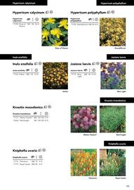 Hörnhems handelsträdgård reklamblad Sida 107