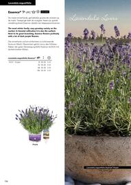 Hörnhems handelsträdgård reklamblad Sida 110