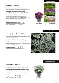 Hörnhems handelsträdgård reklamblad Sida 121