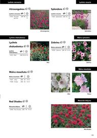 Hörnhems handelsträdgård reklamblad Sida 129