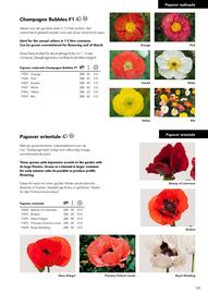 Hörnhems handelsträdgård reklamblad Sida 135