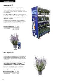 Hörnhems handelsträdgård reklamblad Sida 138