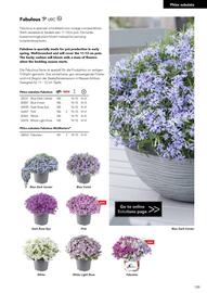 Hörnhems handelsträdgård reklamblad Sida 143