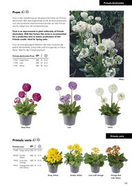 Hörnhems handelsträdgård reklamblad Sida 147