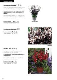 Hörnhems handelsträdgård reklamblad Sida 286
