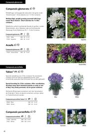 Hörnhems handelsträdgård reklamblad Sida 344