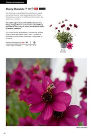 Hörnhems handelsträdgård reklamblad Sida 350