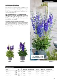Hörnhems handelsträdgård reklamblad Sida 359