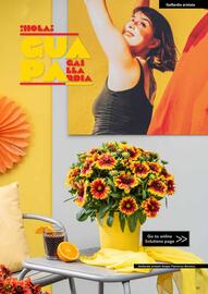 Hörnhems handelsträdgård reklamblad Sida 387