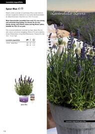 Hörnhems handelsträdgård reklamblad Sida 414