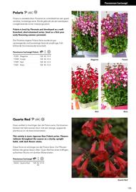 Hörnhems handelsträdgård reklamblad Sida 437