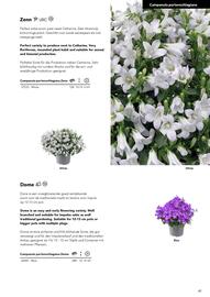 Hörnhems handelsträdgård reklamblad Sida 45