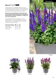 Hörnhems handelsträdgård reklamblad Sida 461