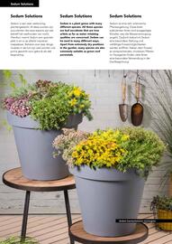 Hörnhems handelsträdgård reklamblad Sida 476